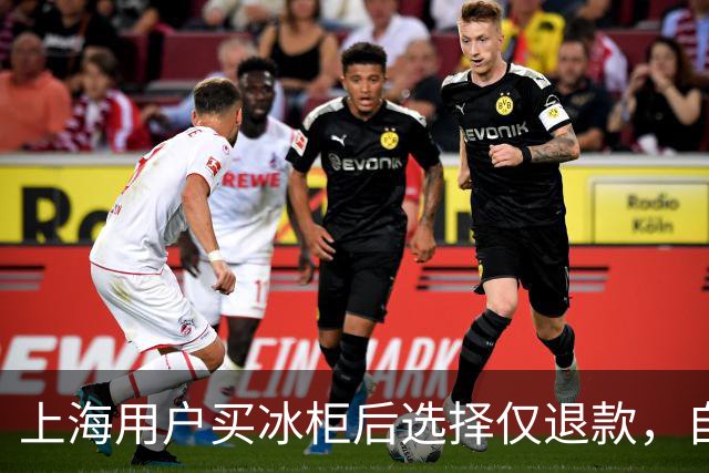 上海用户买冰柜后选择仅退款，自称冰柜"已销毁"无法退货，商家跨省索要后发现冰柜正插电使用，结局亮了