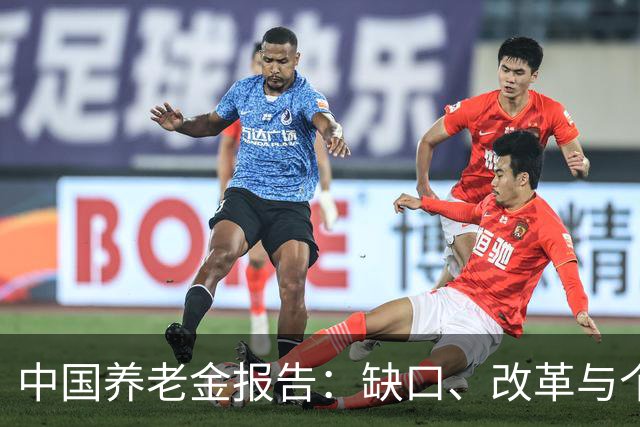 中国养老金报告：缺口、改革与个人