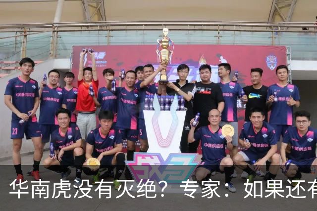 华南虎没有灭绝？专家：如果还有，最可能在山西，不在广东福建