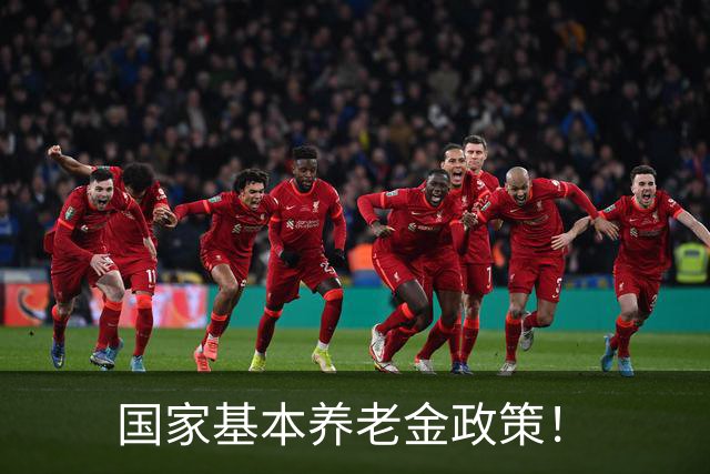国家基本养老金政策！