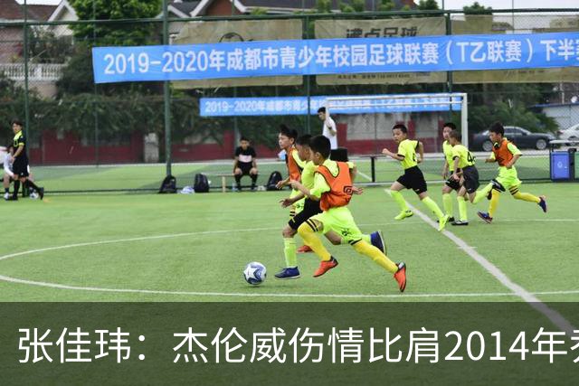 张佳玮：杰伦威伤情比肩2014年乔治，下赛季也未必能打