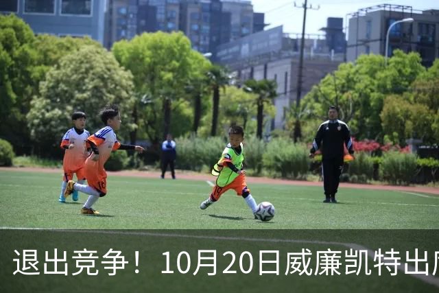 退出竞争！10月20日威廉凯特出席公务，哈里梅根的在职说不攻自破