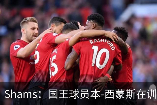 Shams：国王球员本-西蒙斯在训练中遭遇跟腱撕裂